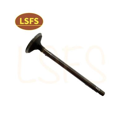 G10 MPV Maxus D90 G20 T60 OEM C00111120用のカスタマイズされた吸入バルブ